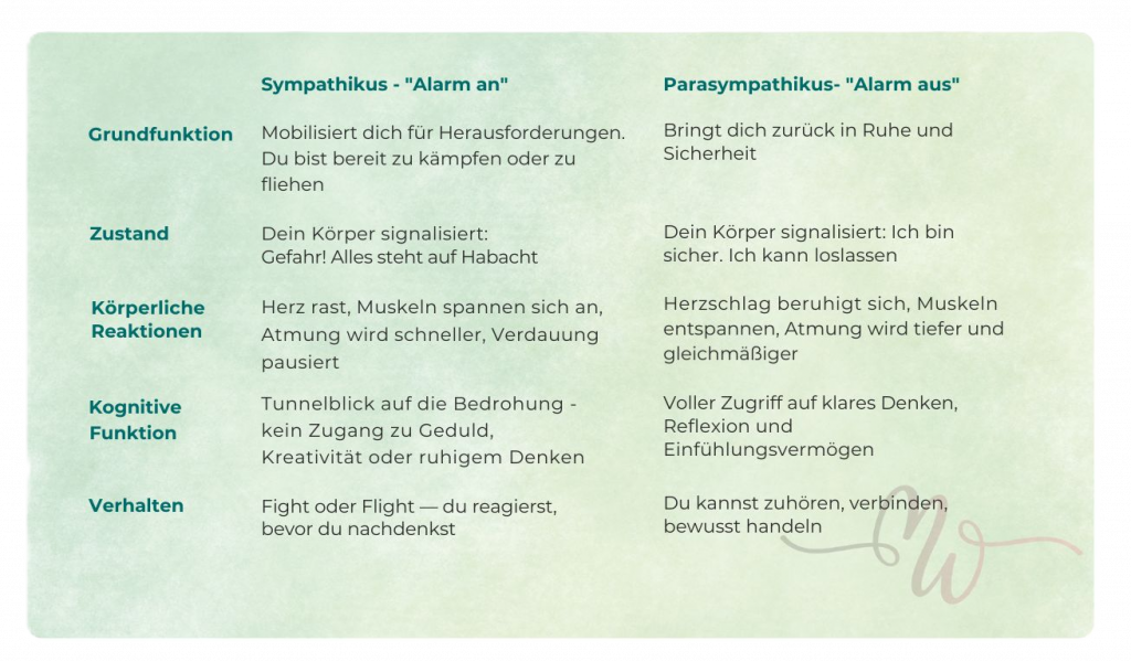 Sympathikus und Parasympathikus Vergleich berufstätige Mutter